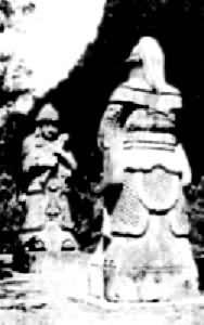 ��Т����ʿʯ����