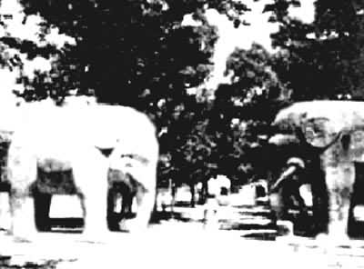 ����ʯ����