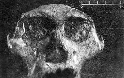 ˹���ؿ���˹�����Ĵ�״����Գͷ�ǻ�ʯ