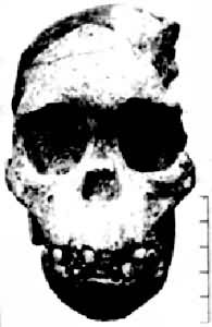 ���̷��ֵ���ϸ����Գͷ�ǻ�ʯ