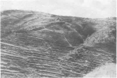 ̫�ͳǱ���ǽ�ż�