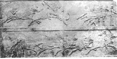 ����΢�ǹ����еİ��ն���������ʨͼ���ֲ���