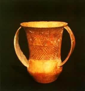 ˫������չ�