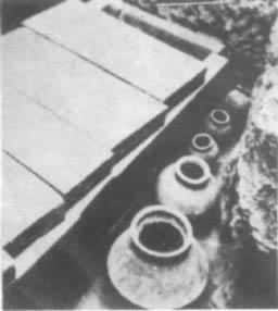 ����שĹ��������Ĺ