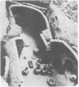 ש��Ĺ��������Ĺ