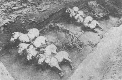 ��ʼ����1�š�2��ͭ�����������