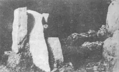 ����������ַ�ļ����ż�