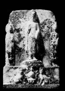 �忪�������Ų���������