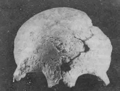 �·��ֵĺ�����ͷ�ǻ�ʯ