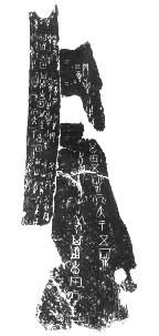 ����ţ�ι� С���ϵس���