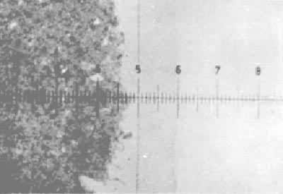 �ż�����ַ��������ԭʼ������Ƭ����΢���ࡡ�Ե���΢����