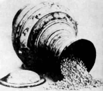 �պ���޲��