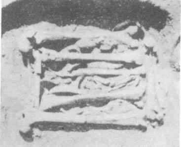 ����ʱ������״������