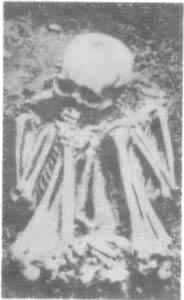 ����ʱ������֫��