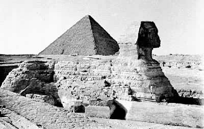 �����������Ե�ʨ��������