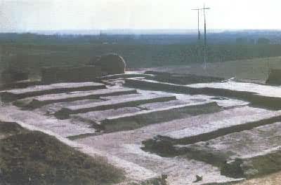 ���������Ƴ�������������ַ