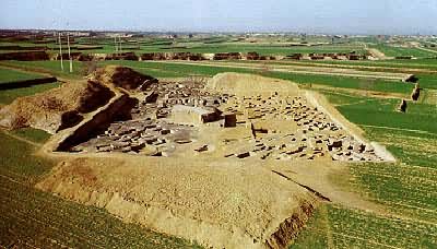 ɽ���������Ĺ�ط����ֳ�