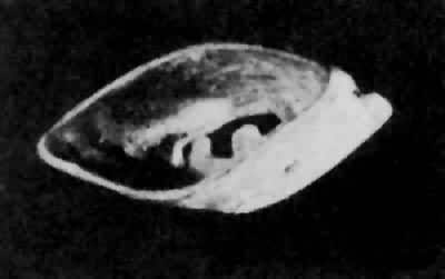 ������ַ���������κ�ͭ��������