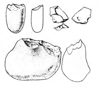 ��¡�ڵ���ʯʯ����ʯƬ