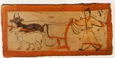 ���������κ��Ĺש����ţ��ͼ