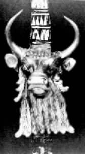 �ڶ���������������ϵ�ľ�����ţͷ�ζ���