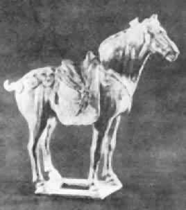 ������������ͥ��Ĺ����