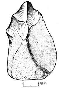 ������Ļ���������״��