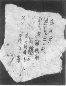 ���ܲ���