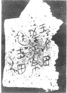 ���ܲ���