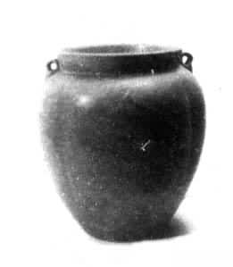 ���ֺ�ԽҤ���˫ϵ�ޣ������