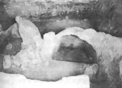 ��ҤҤ¯�ż�