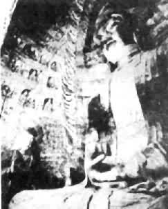 �ƸԵ�5�ߺ�������������