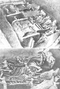 �ż�������Ĺ��2�ų����ӡ���Ϊ����ϸ��