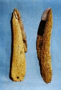 ��˹��Ӫ���Ŵ�ʯ�йǱ���