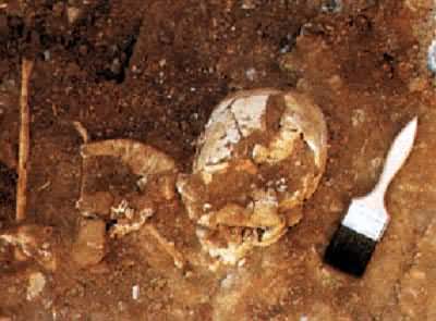 ��ţɽ��ͷ�ǻ�ʯ