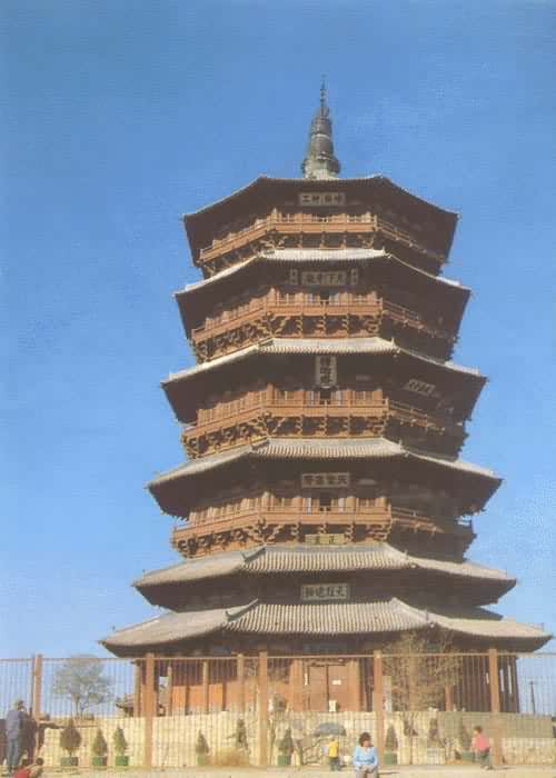 ɽ��Ӧ��ľ�����ɣ�