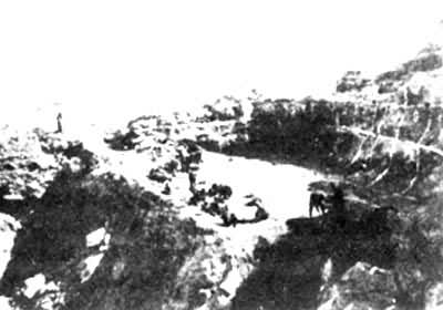 1935�귢�򱱾�����ַ�ҽ�����ֳ�