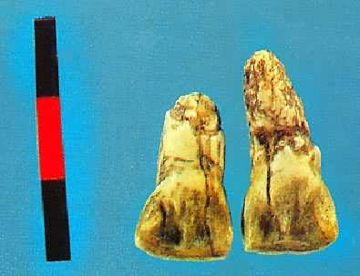 Ԫı�����ݻ�ʯ