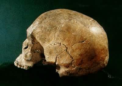 ������ͷ�ǻ�ʯ