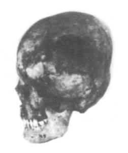 �����Ĺ�س������˹�����ͷ��