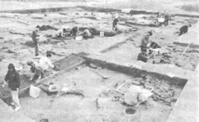 ������ַ�����ֳ�