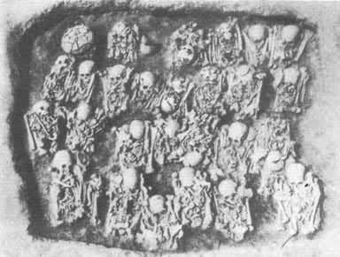 �����Ļ��Ķ��˶����ᡡ����μ��ʷ����ַ����