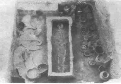 ɽ�����������ַ2001�Ŵ���Ĺ�������