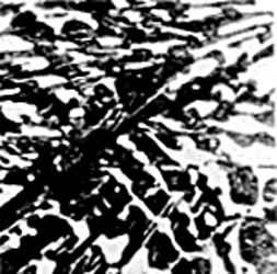 �׿������Ľ�����֯ͼ��400