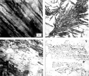 ͼ3 �ϱ�������΢��֯