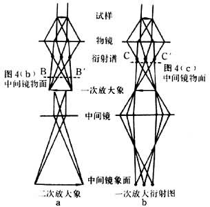 ͼ3���ı��м侵��ࣨ�ı�͸���������������м侵�����ϵõ����ηŴ����һ�ηŴ�����ͼ