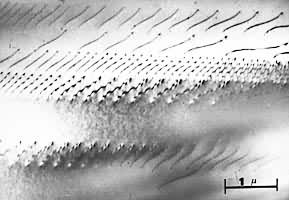 ͼ8���������ºϽ��е�λ�������ھֲ�������������ͬ��λ���ߵ��ܳ������òҲ������ͬ