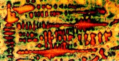 K19��̬����ⸯʴ��60��֯����ɰ����ҶƬ������֦������ɫ��