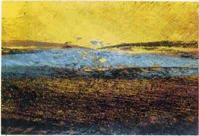 �ߴ�����L 03)����κ��ٽᾧ������΢��֯�Ľ���۲졪��260�汣��30���Ӻ���֯���ٽᾧ�տ�ʼ