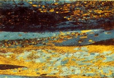 �ߴ�����L 03)����κ��ٽᾧ������΢��֯�Ľ���۲졪��280�汣��30���Ӻ���֯���ٽᾧ��������